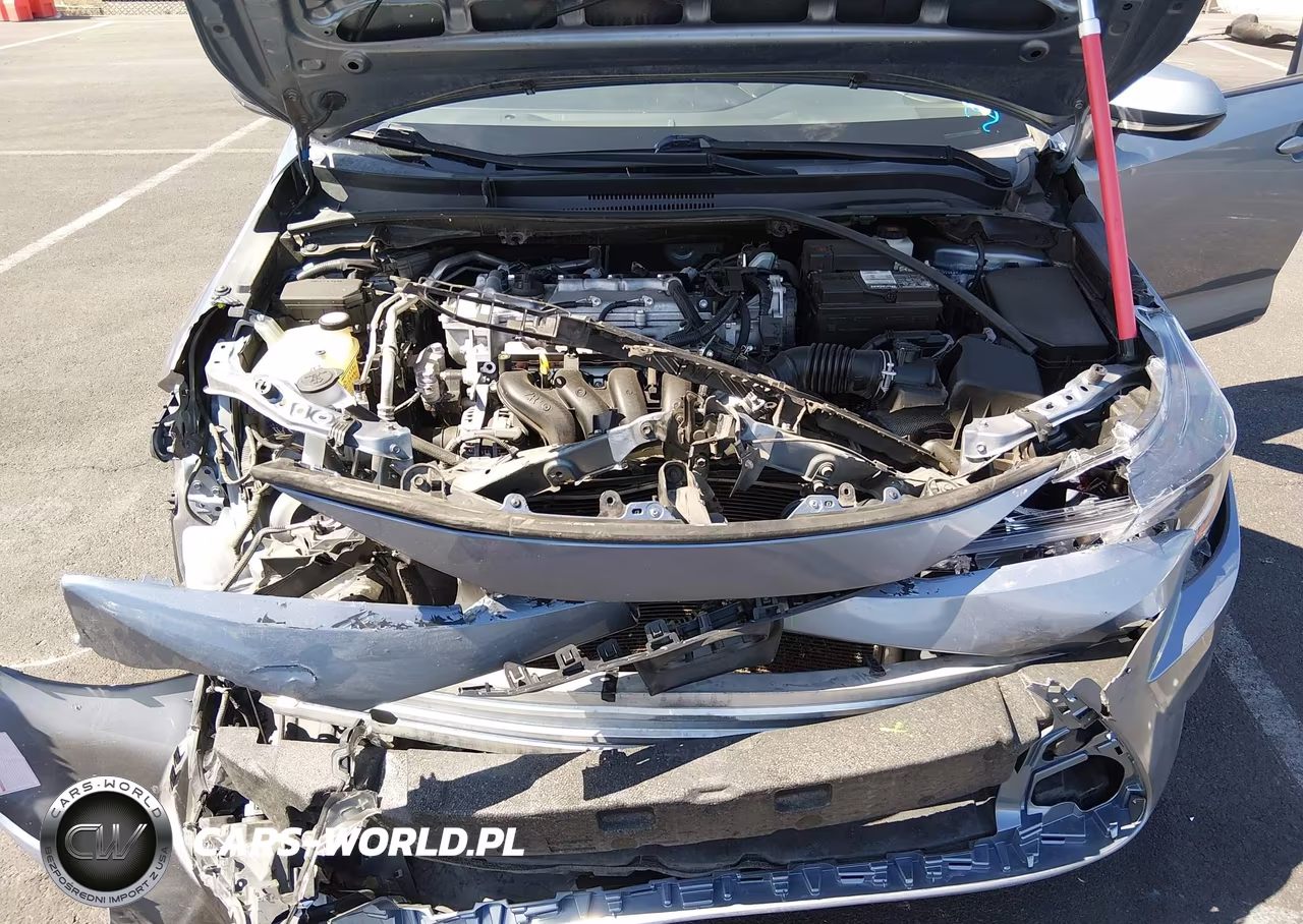 2020 Toyota Corolla Le VIN:5YFEPRAE0LP096125 - 10