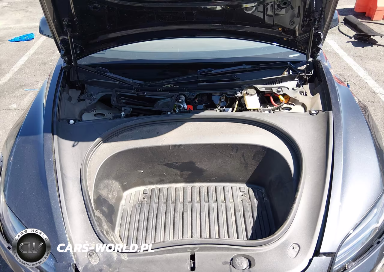 2025 Tesla Model 3 Performance All-Wheel Drive VIN:5YJ3E1ET0SF973262 - 10