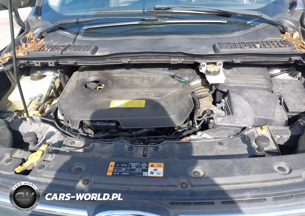 2014 Ford Escape Se VIN:1FMCU0GXXEUA96445 - 10