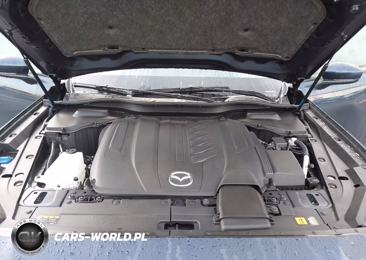2024 Mazda Cx-90 3.3 Turbo Premium VIN:JM3KKDHD8R1181686 - 10
