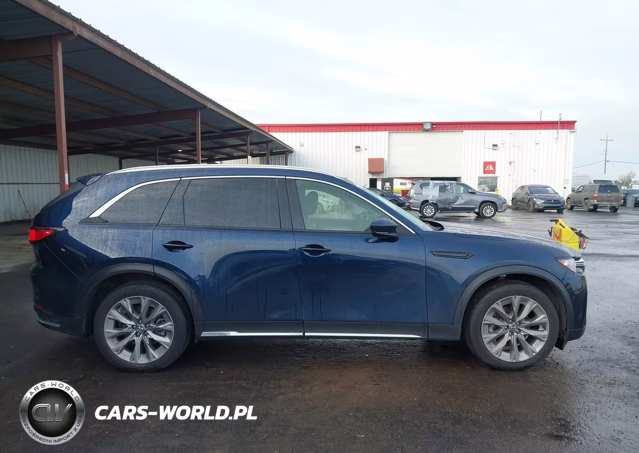 2024 Mazda Cx-90 3.3 Turbo Premium VIN:JM3KKDHD8R1181686 - 13