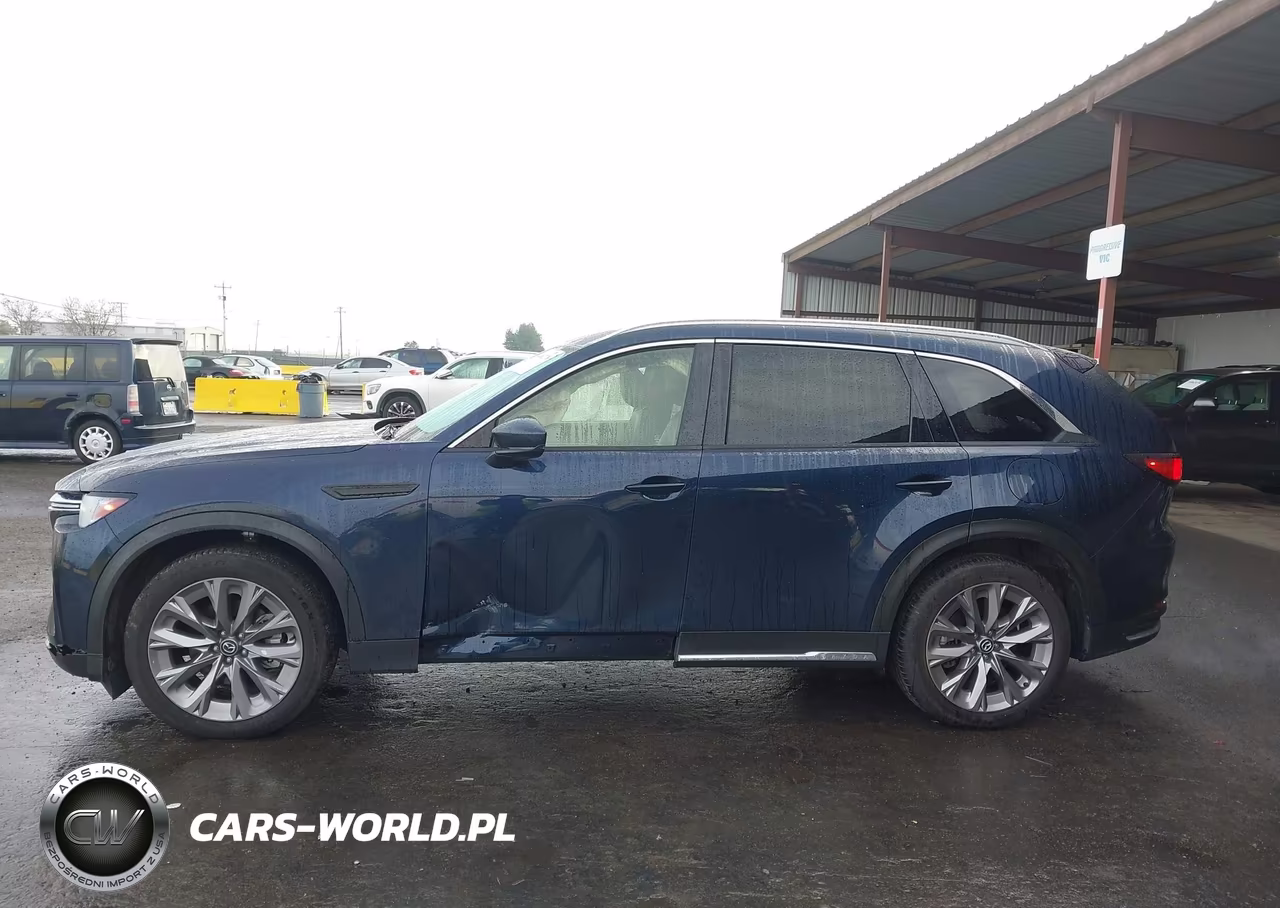 2024 Mazda Cx-90 3.3 Turbo Premium VIN:JM3KKDHD8R1181686 - 14