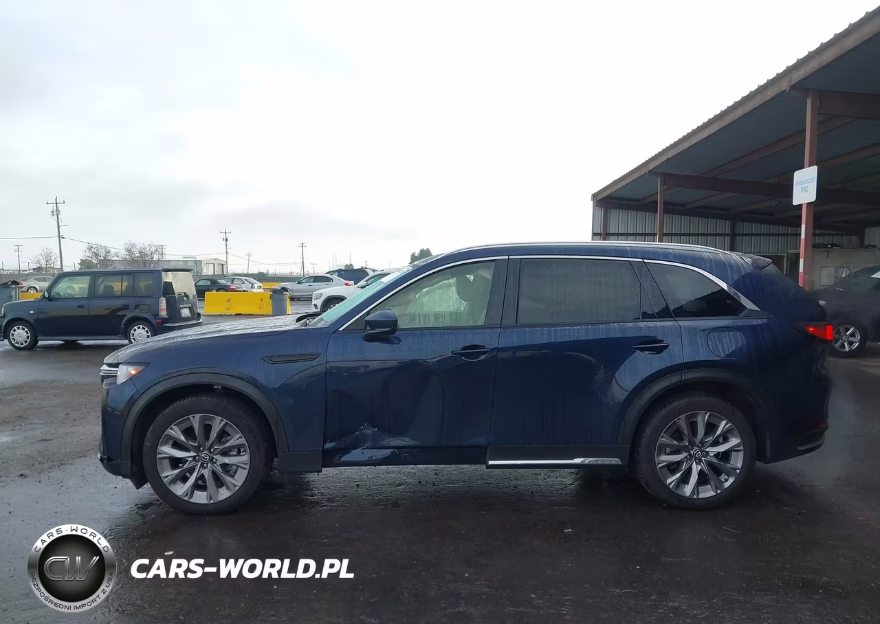 2024 Mazda Cx-90 3.3 Turbo Premium VIN:JM3KKDHD8R1181686 - 6