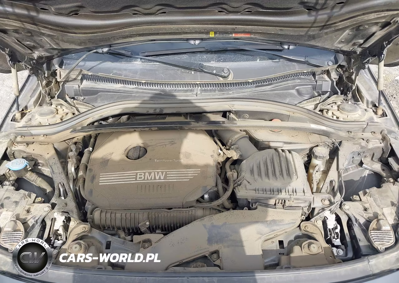 2021 BMW 228I Gran Coupe Sdrive VIN:WBA53AK03M7H33737 - 10