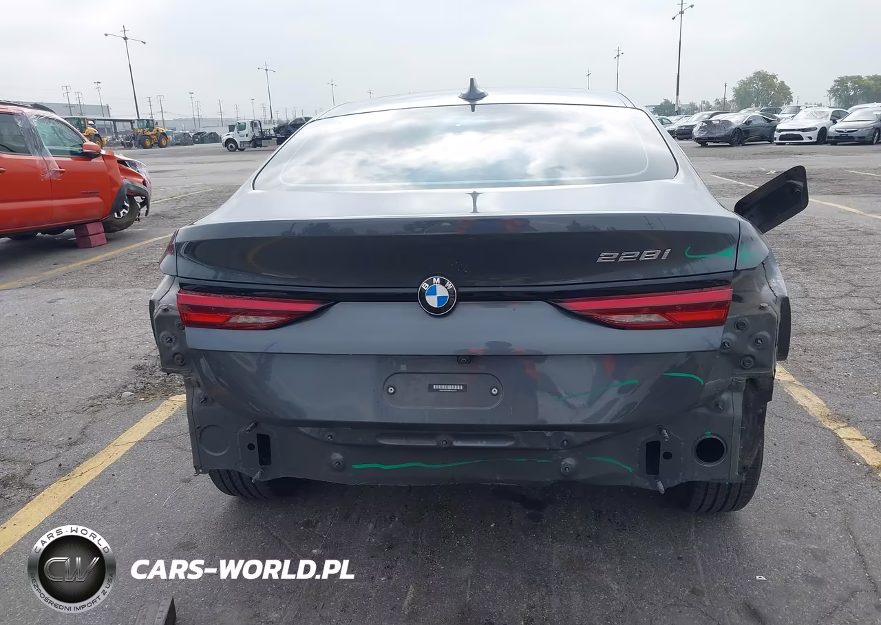 2021 BMW 228I Gran Coupe Sdrive VIN:WBA53AK03M7H33737 - 17