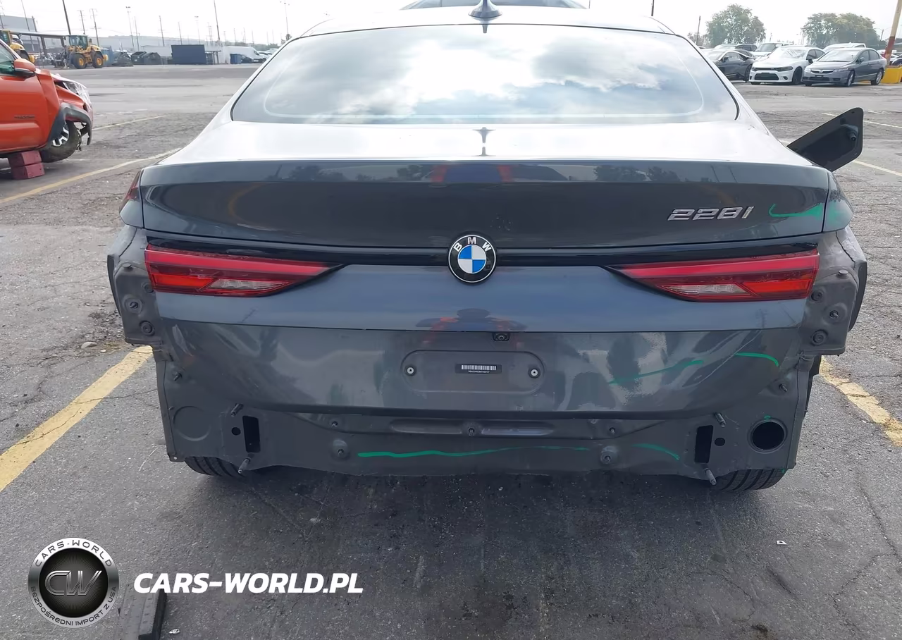 2021 BMW 228I Gran Coupe Sdrive VIN:WBA53AK03M7H33737 - 6
