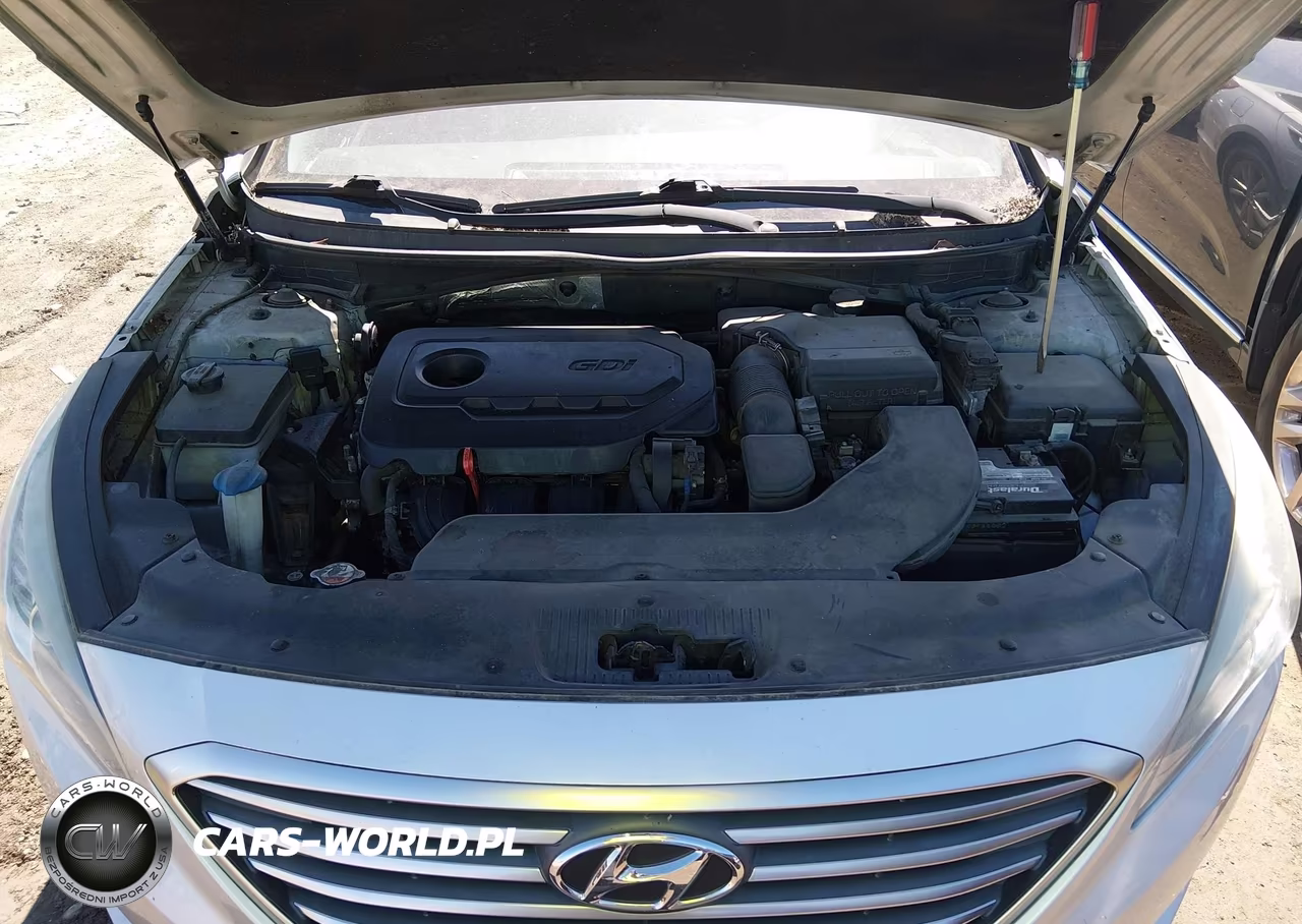 2016 Hyundai Sonata VIN:5NPE24AF2GH407213 - 10