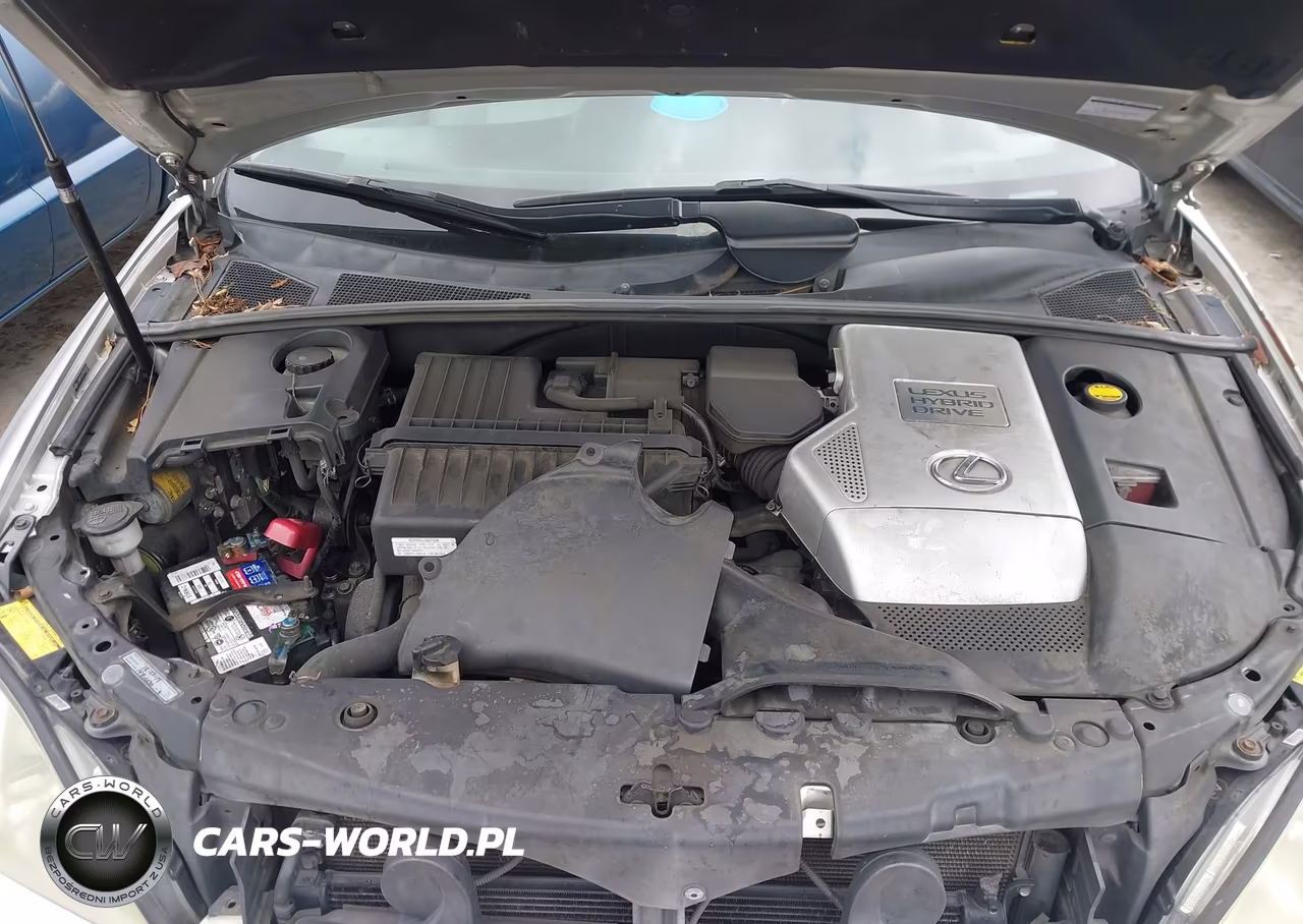 2007 Lexus Rx 400H VIN:JTJHW31U272018872 - 10