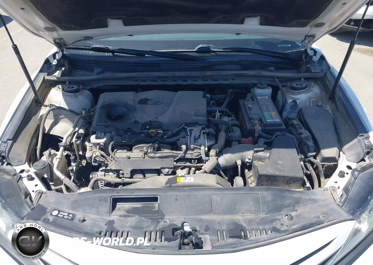 2019 Toyota Camry Se VIN:4T1B11HK7KU725233 - 10