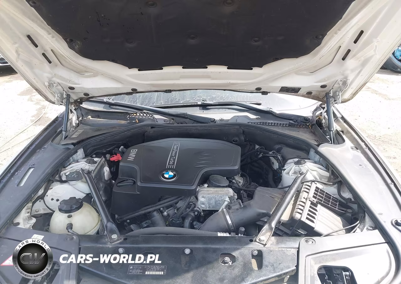 2013 BMW 528I xDrive VIN:WBAXH5C5XDDW13511 - 10