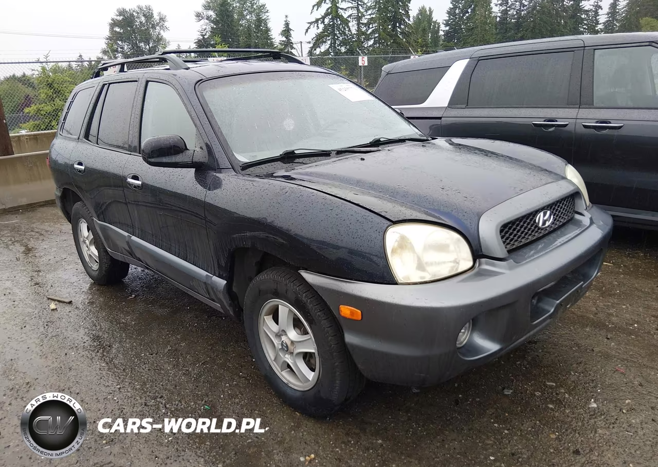 2004 Hyundai Santa Fe Gls-Lx
