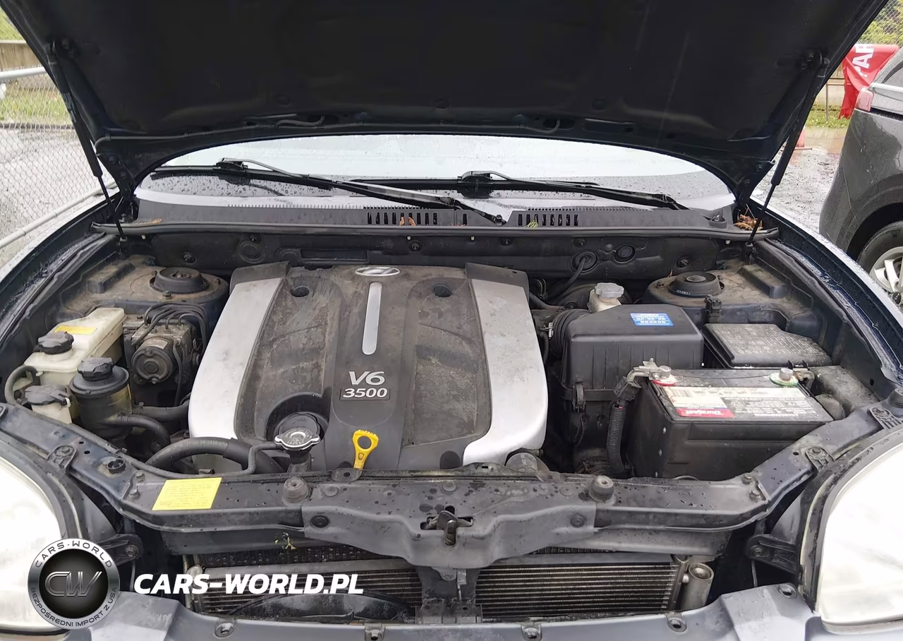 2004 Hyundai Santa Fe Gls-Lx VIN:KM8SC13E64U741311 - 10