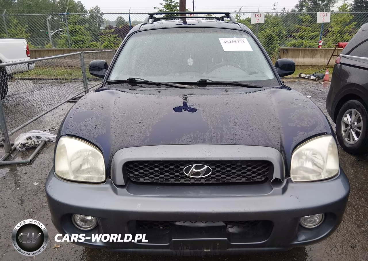 2004 Hyundai Santa Fe Gls-Lx VIN:KM8SC13E64U741311 - 12