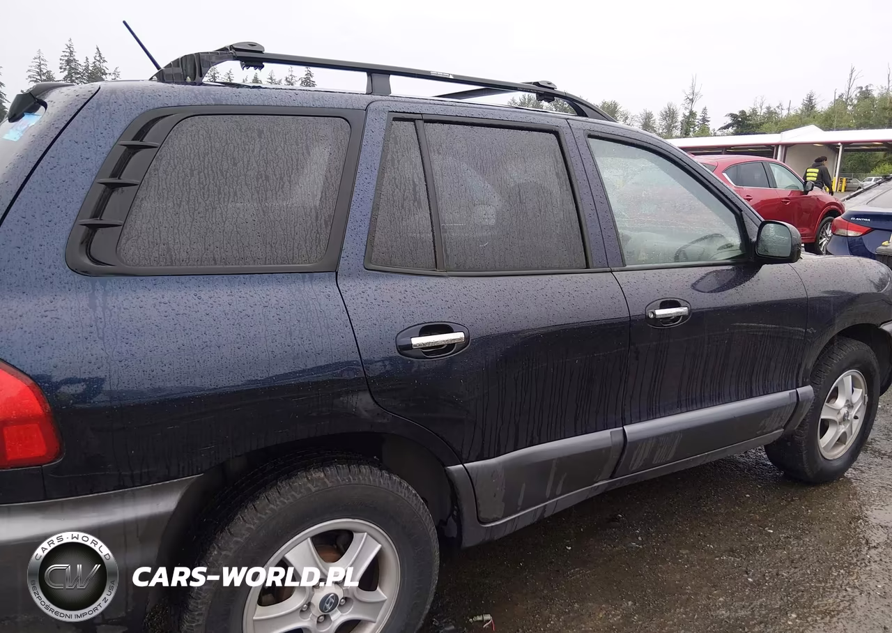 2004 Hyundai Santa Fe Gls-Lx VIN:KM8SC13E64U741311 - 13