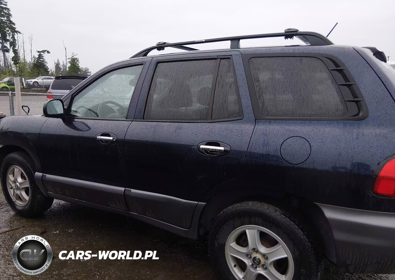 2004 Hyundai Santa Fe Gls-Lx VIN:KM8SC13E64U741311 - 14