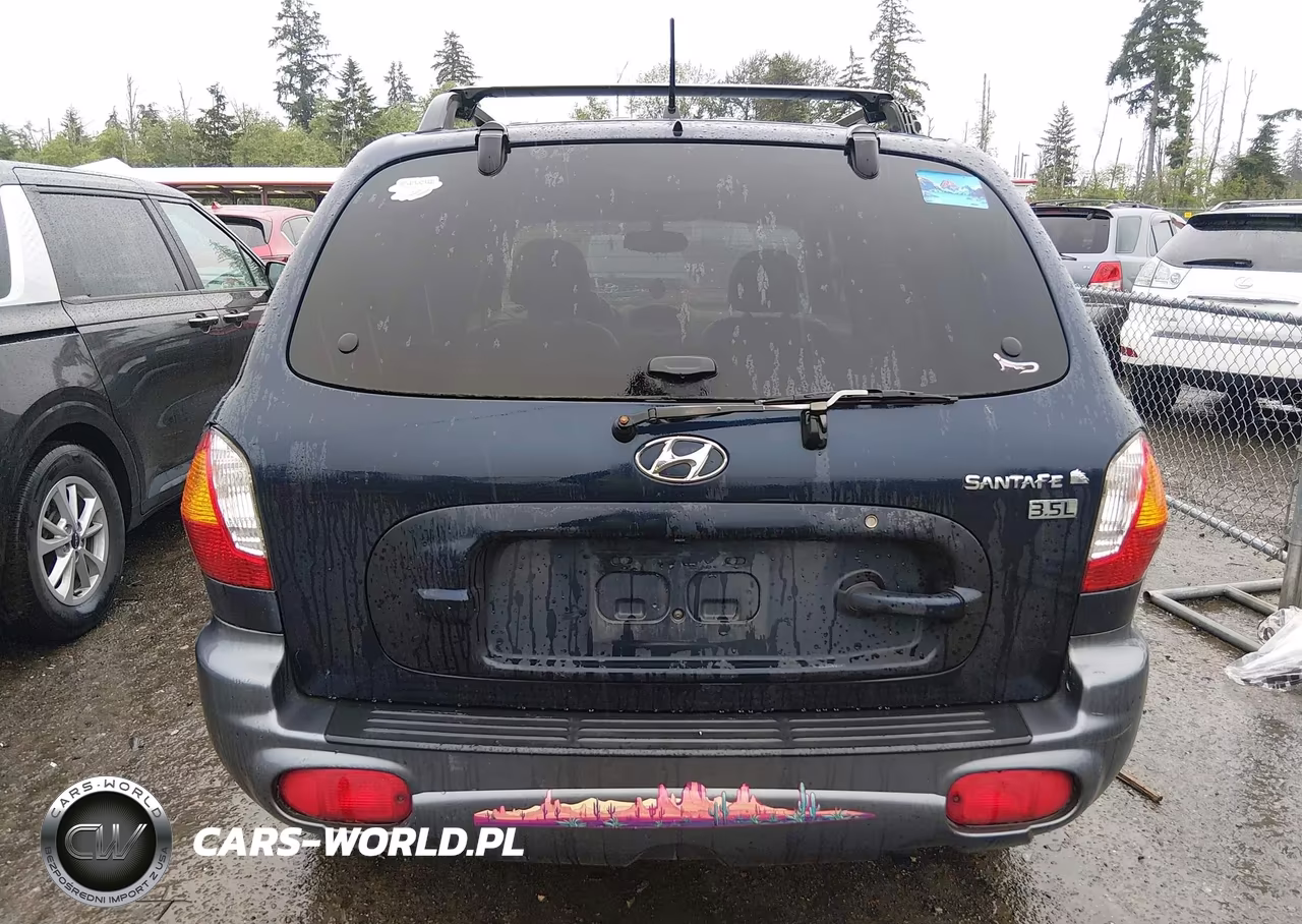 2004 Hyundai Santa Fe Gls-Lx VIN:KM8SC13E64U741311 - 16