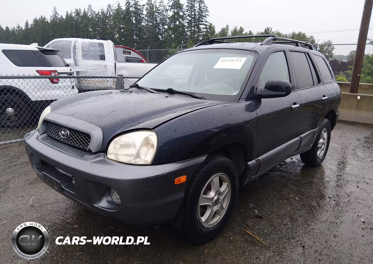 2004 Hyundai Santa Fe Gls-Lx VIN:KM8SC13E64U741311 - 2