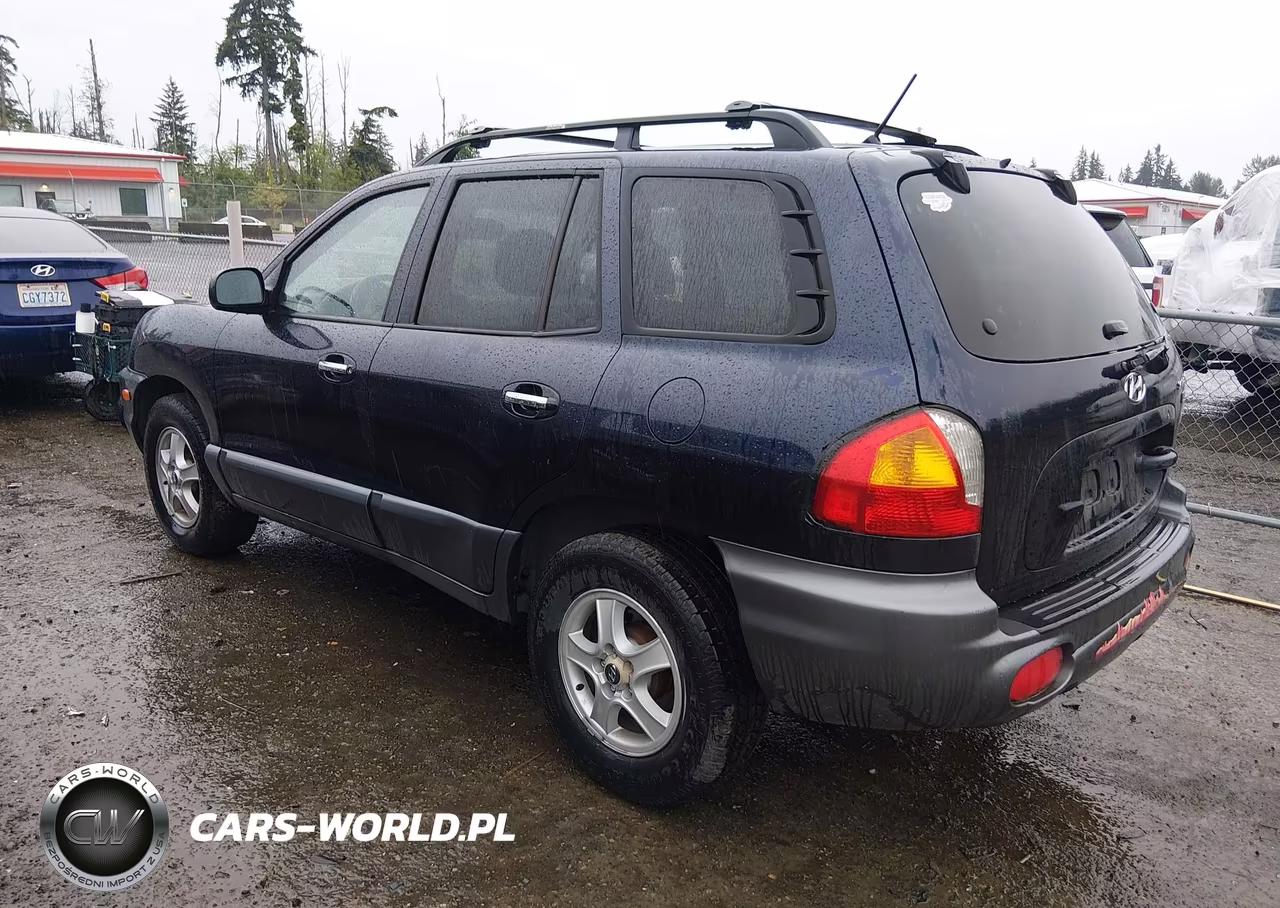 2004 Hyundai Santa Fe Gls-Lx VIN:KM8SC13E64U741311 - 3