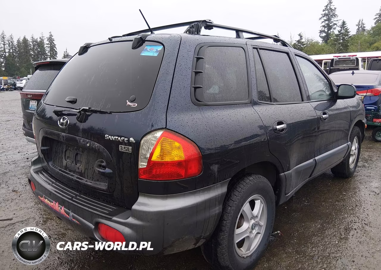 2004 Hyundai Santa Fe Gls-Lx VIN:KM8SC13E64U741311 - 4