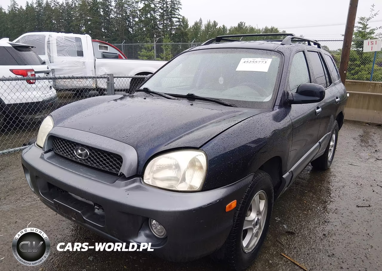 2004 Hyundai Santa Fe Gls-Lx VIN:KM8SC13E64U741311 - 6