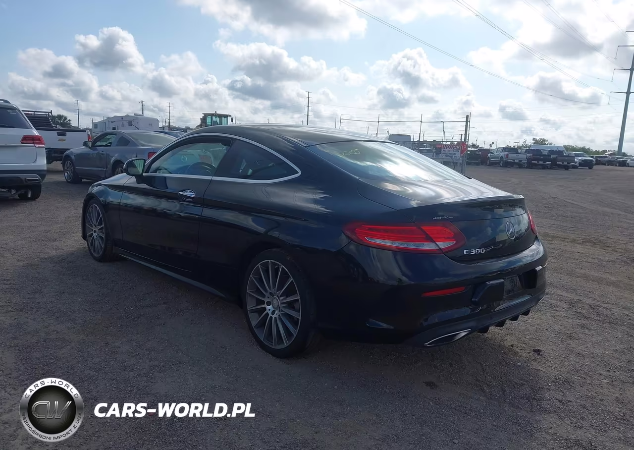2017 Mercedes-Benz C 300 VIN:WDDWJ4JB0HF439292 - 3