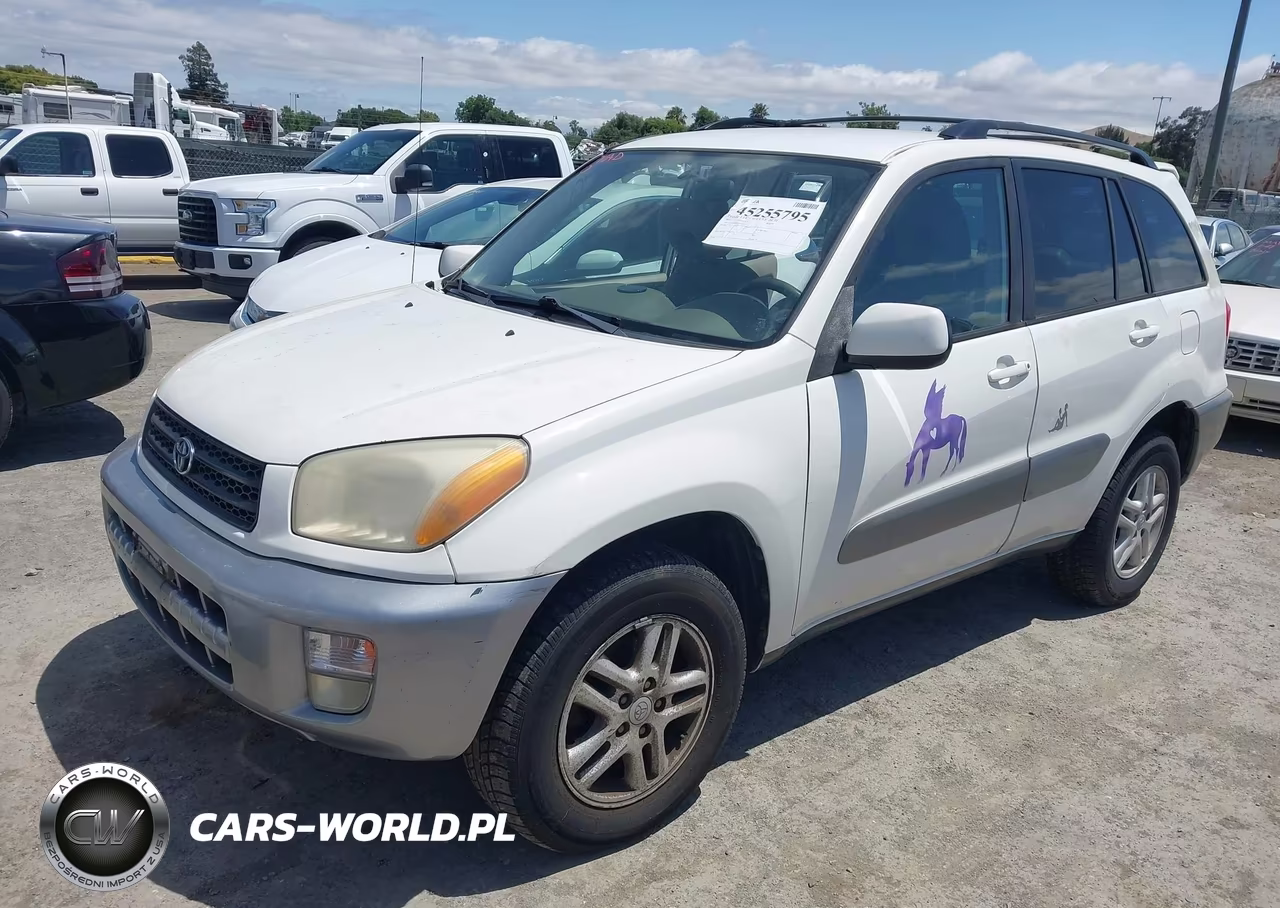 2001 Toyota Rav4 VIN:JTEGH20V310011019 - 2