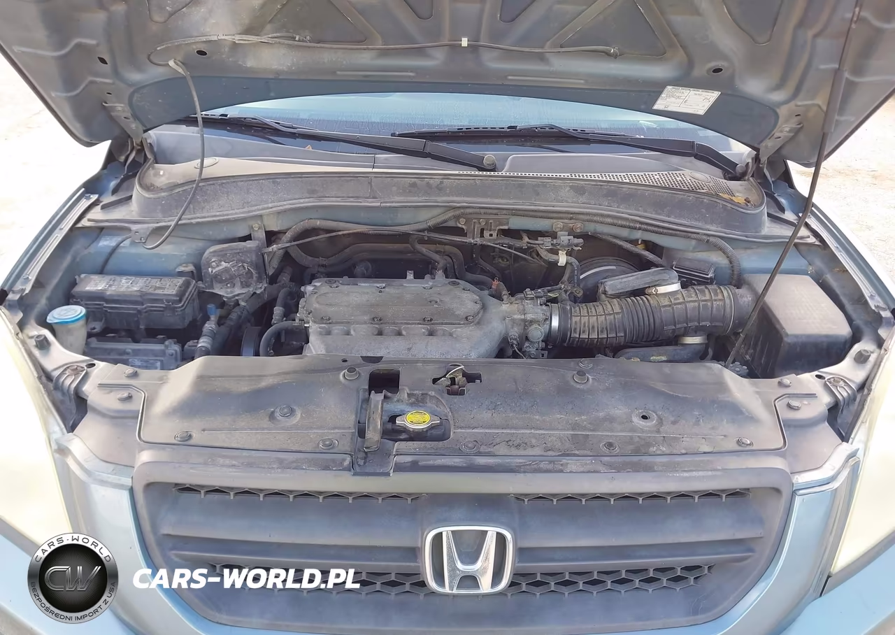 2005 Honda Pilot Ex-L VIN:5FNYF18505B046878 - 10