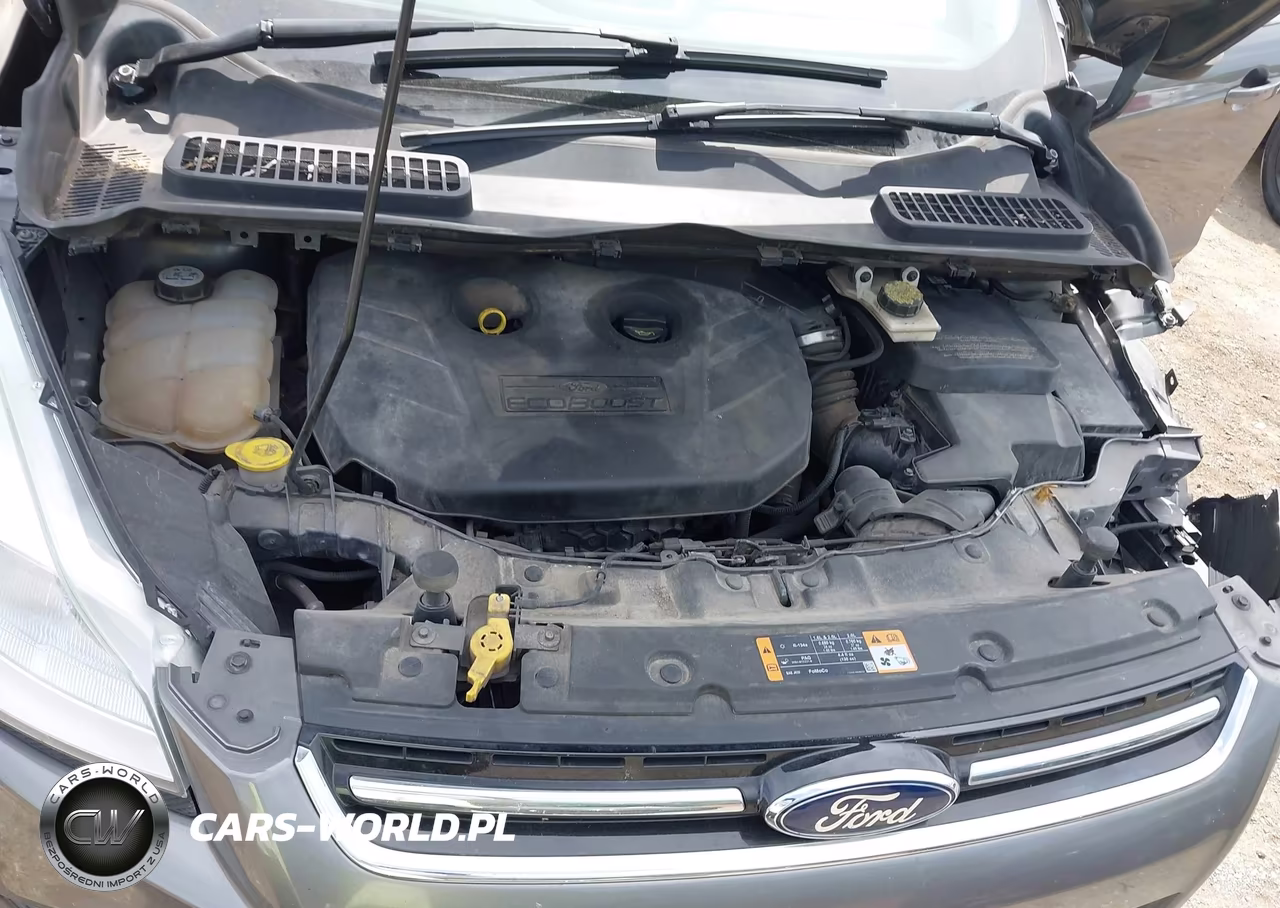 2013 Ford Escape Sel VIN:1FMCU9H97DUD51801 - 10