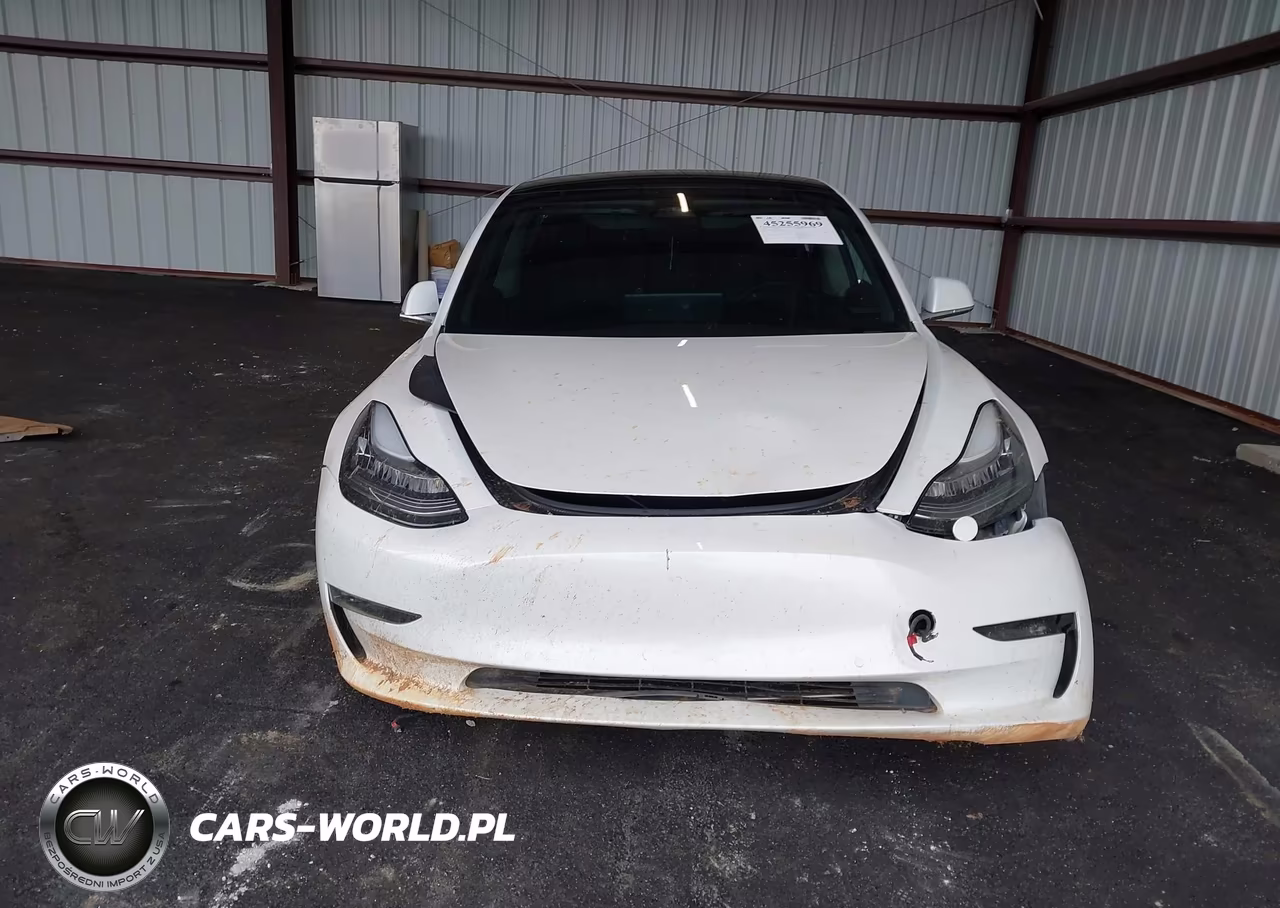2020 Tesla Model 3 Performance Dual Motor All-Wheel Drive VIN:5YJ3E1ECXLF587062 - 11