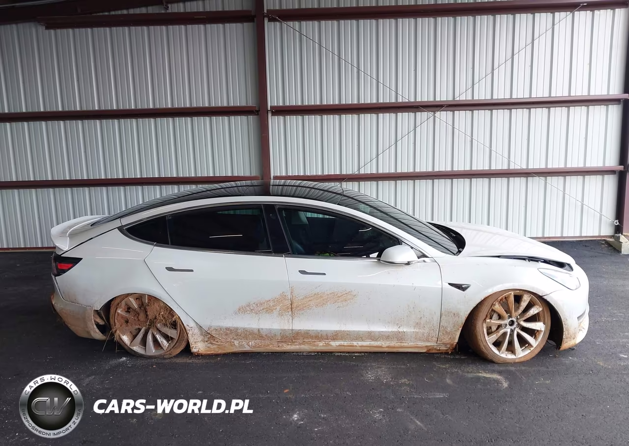 2020 Tesla Model 3 Performance Dual Motor All-Wheel Drive VIN:5YJ3E1ECXLF587062 - 12