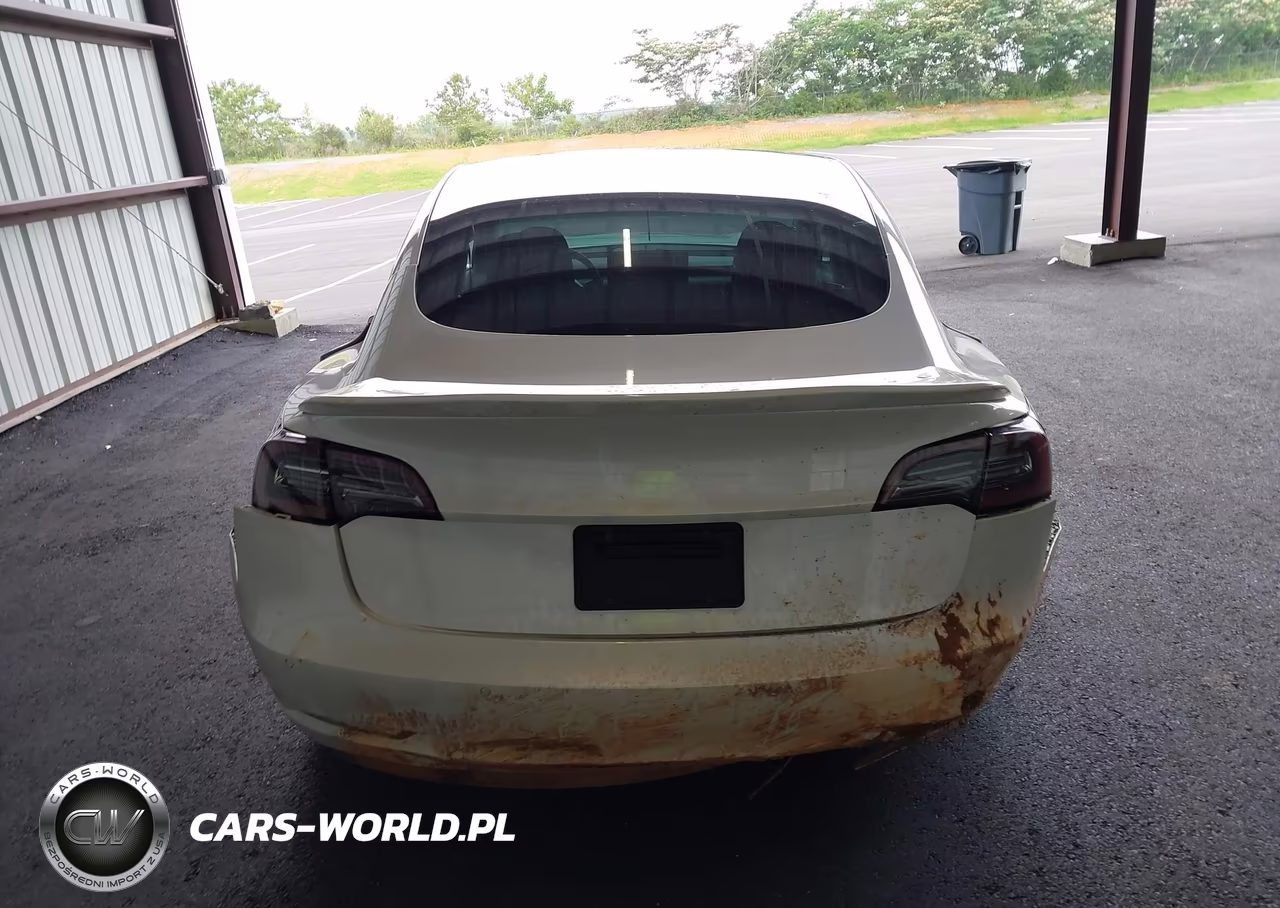 2020 Tesla Model 3 Performance Dual Motor All-Wheel Drive VIN:5YJ3E1ECXLF587062 - 15
