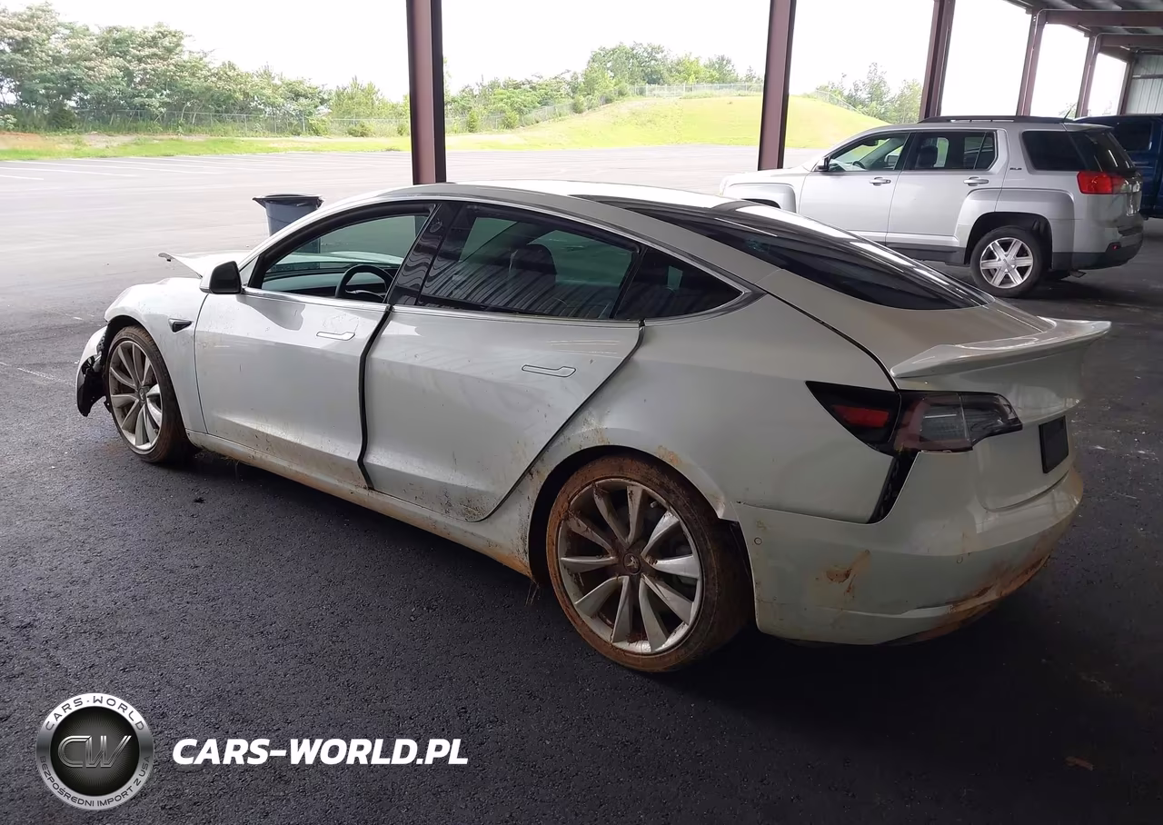 2020 Tesla Model 3 Performance Dual Motor All-Wheel Drive VIN:5YJ3E1ECXLF587062 - 3
