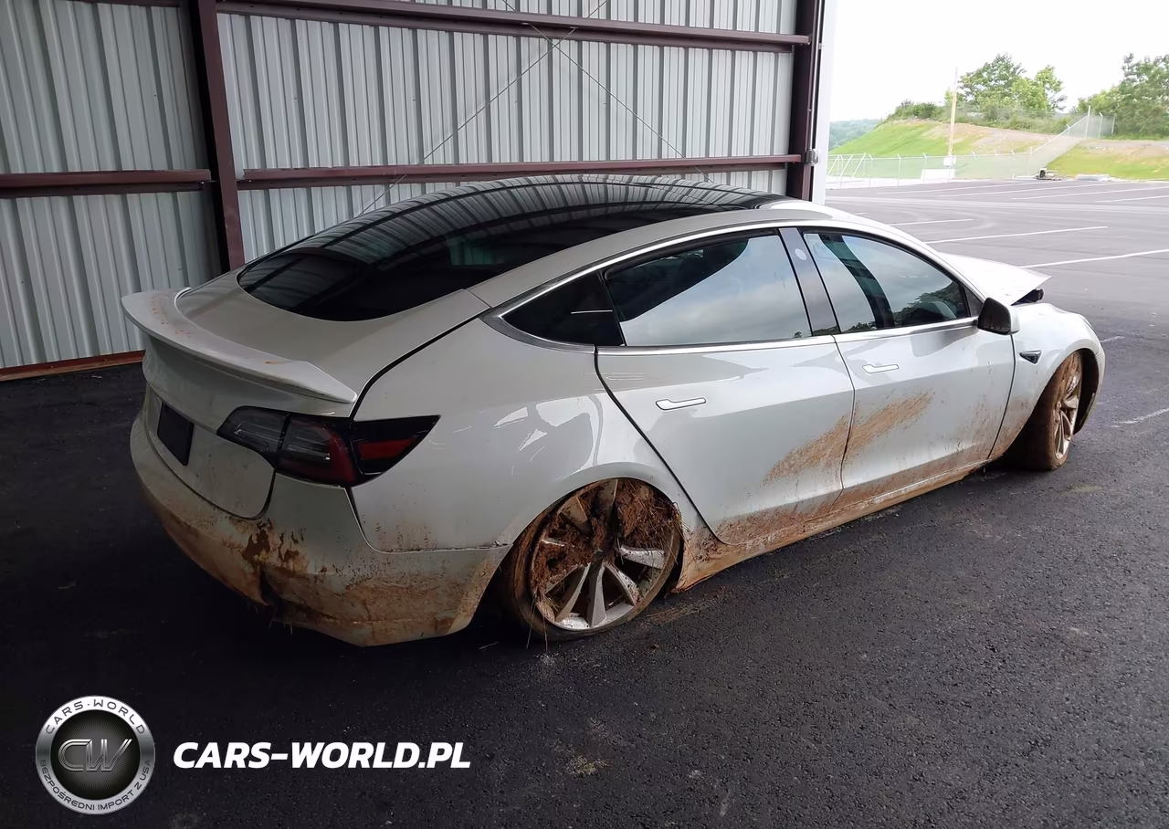 2020 Tesla Model 3 Performance Dual Motor All-Wheel Drive VIN:5YJ3E1ECXLF587062 - 4