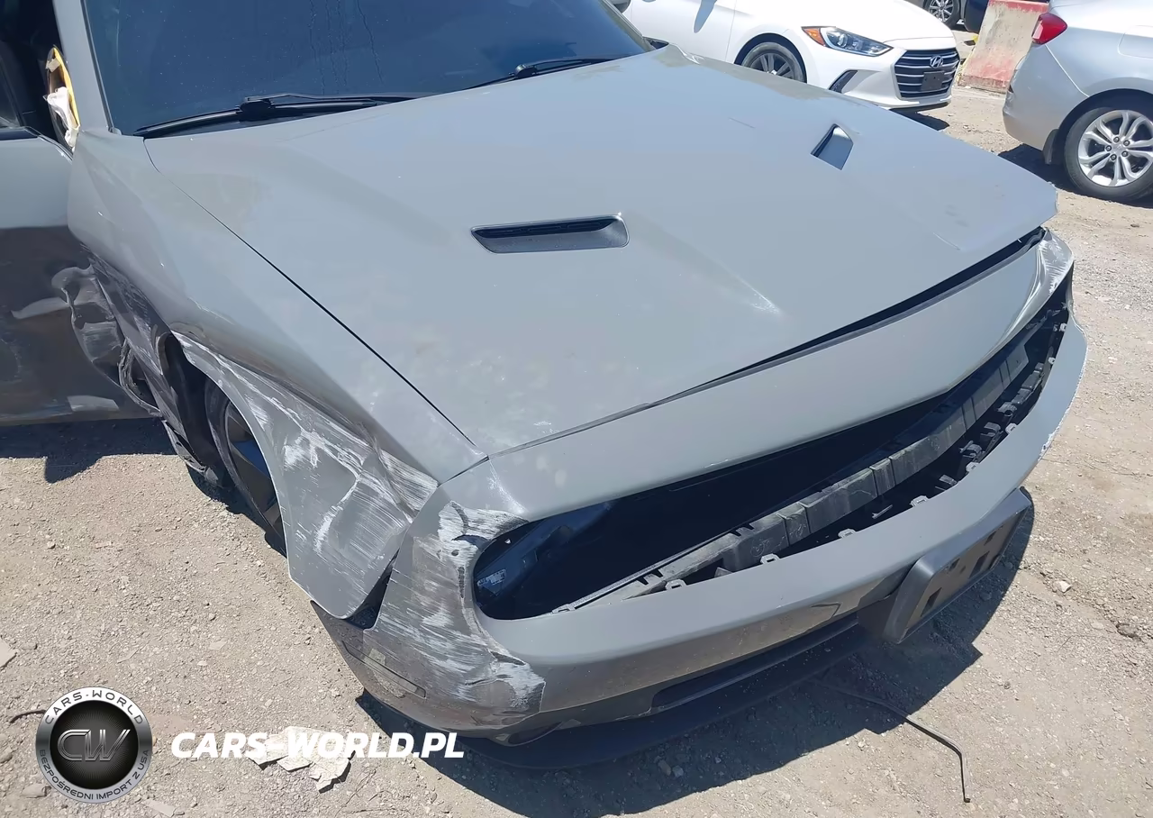 2019 Dodge Challenger Sxt VIN:2C3CDZAGXKH719518 - 18