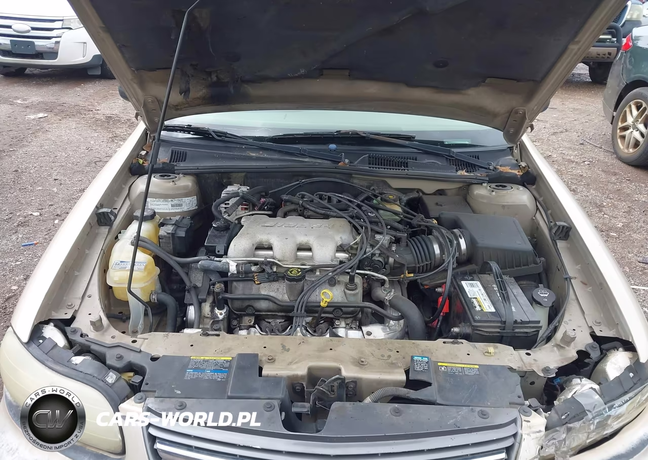 2002 Chevrolet Malibu VIN:1G1ND52J12M551667 - 10