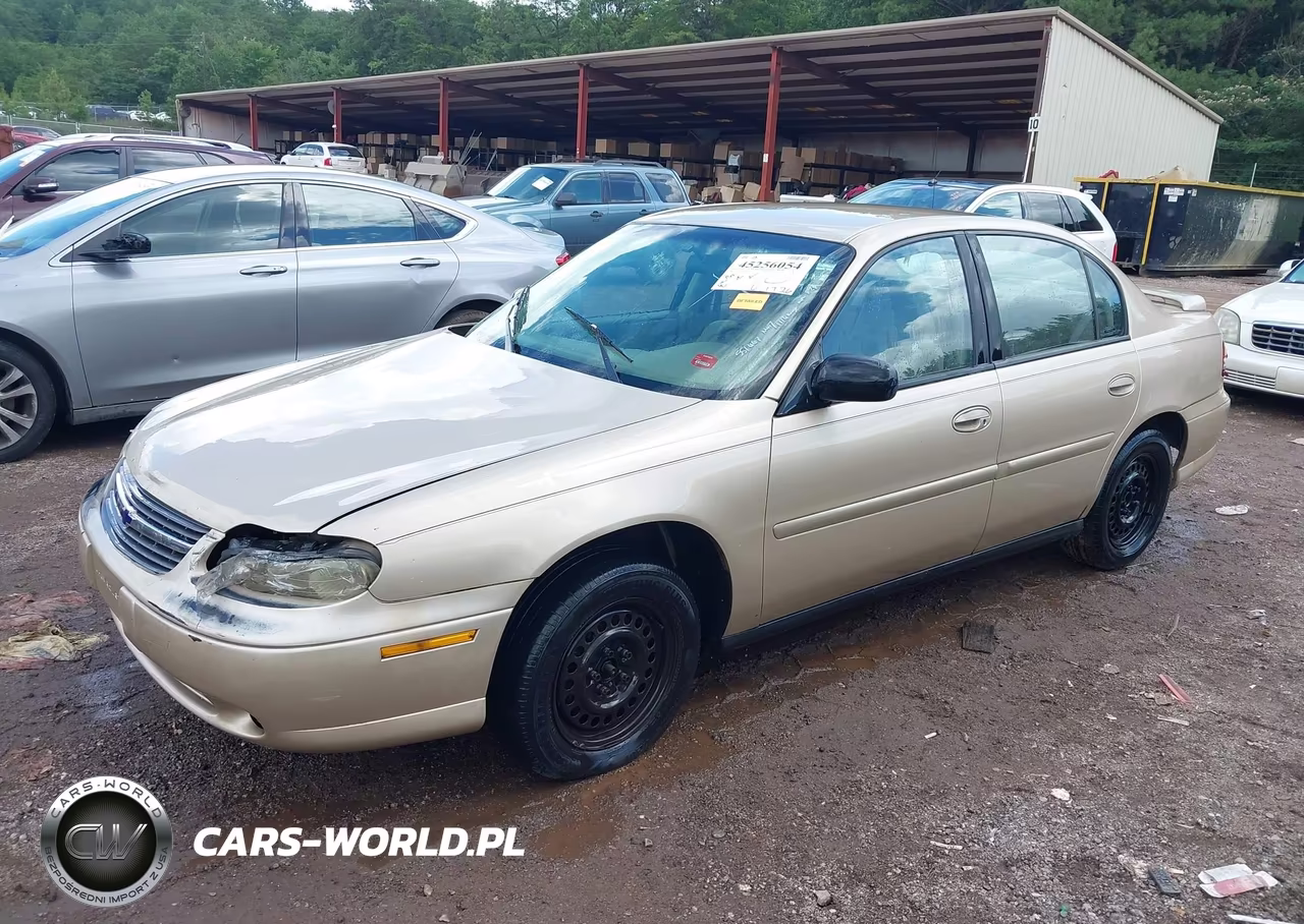 2002 Chevrolet Malibu VIN:1G1ND52J12M551667 - 2