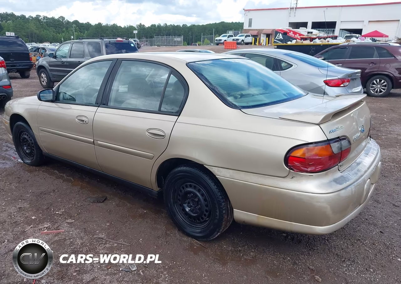 2002 Chevrolet Malibu VIN:1G1ND52J12M551667 - 3