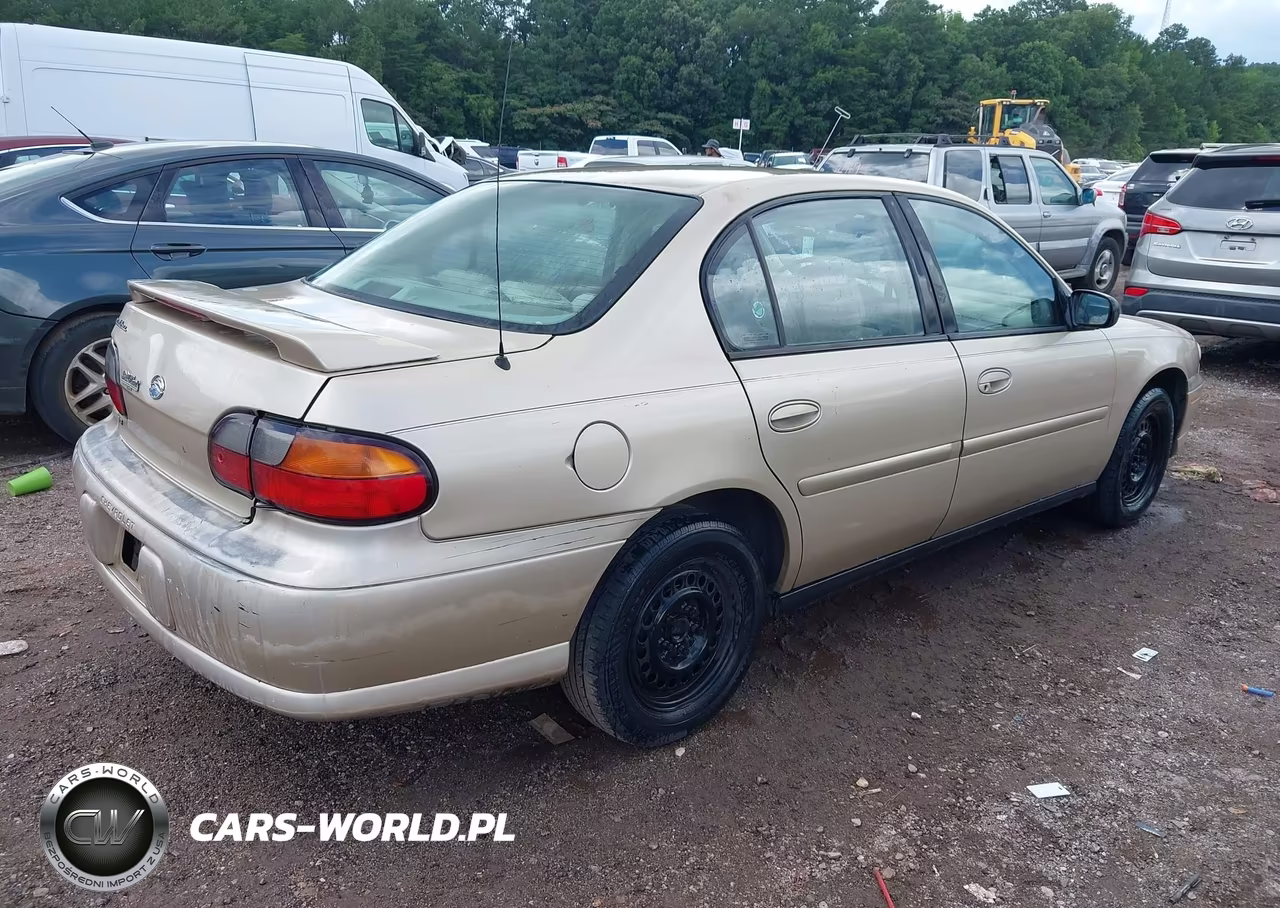 2002 Chevrolet Malibu VIN:1G1ND52J12M551667 - 4