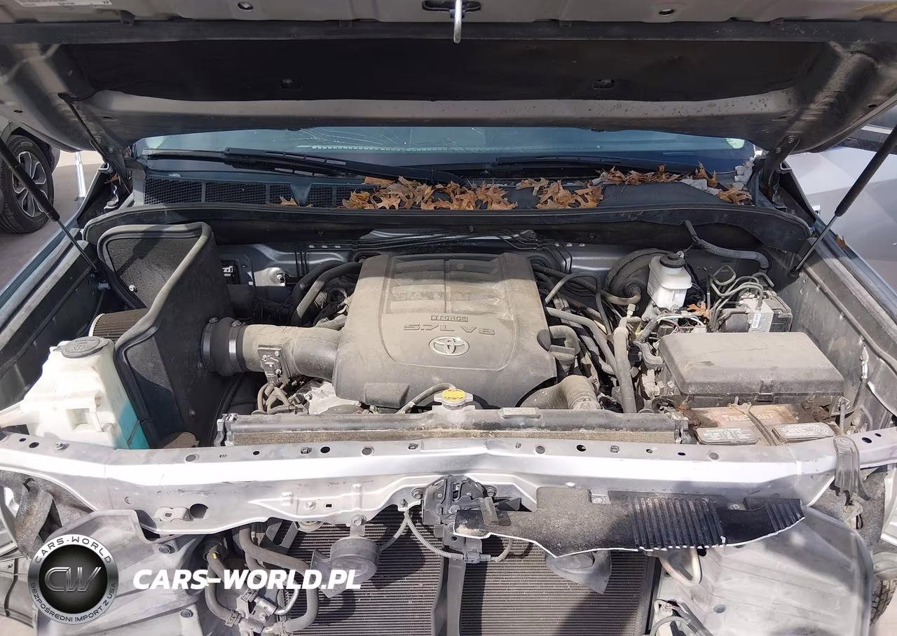 2016 Toyota Tundra Sr5 5.7L V8 VIN:5TFDW5F19GX494793 - 10