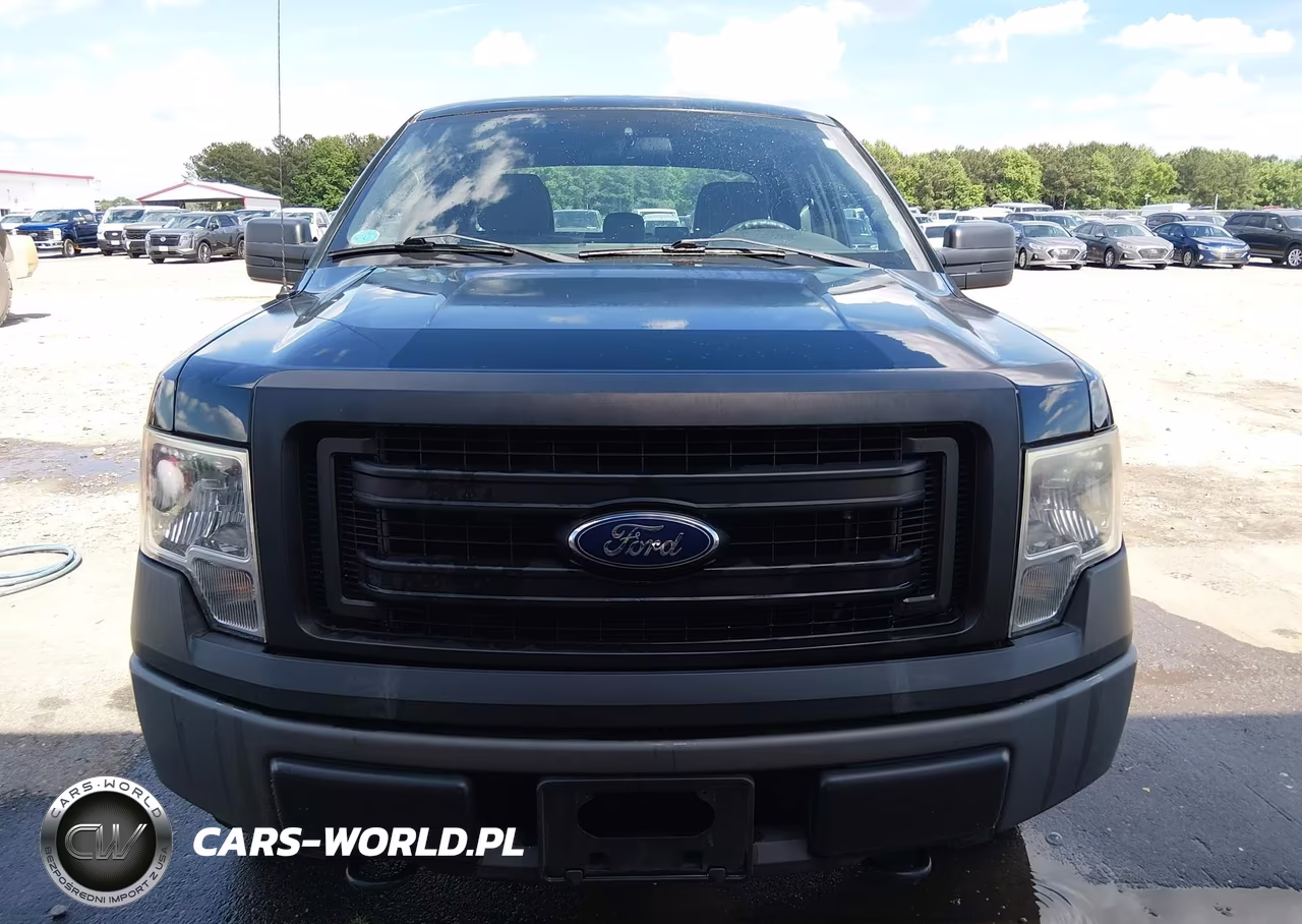 2014 Ford F-150 Xl VIN:1FTEX1EM0EFC01825 - 12