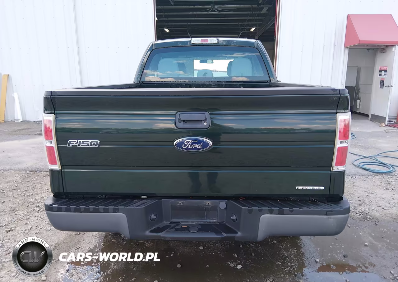 2014 Ford F-150 Xl VIN:1FTEX1EM0EFC01825 - 16