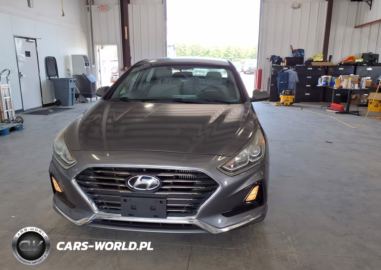 2019 Hyundai Sonata Eco VIN:5NPE24AA2KH774674 - 12
