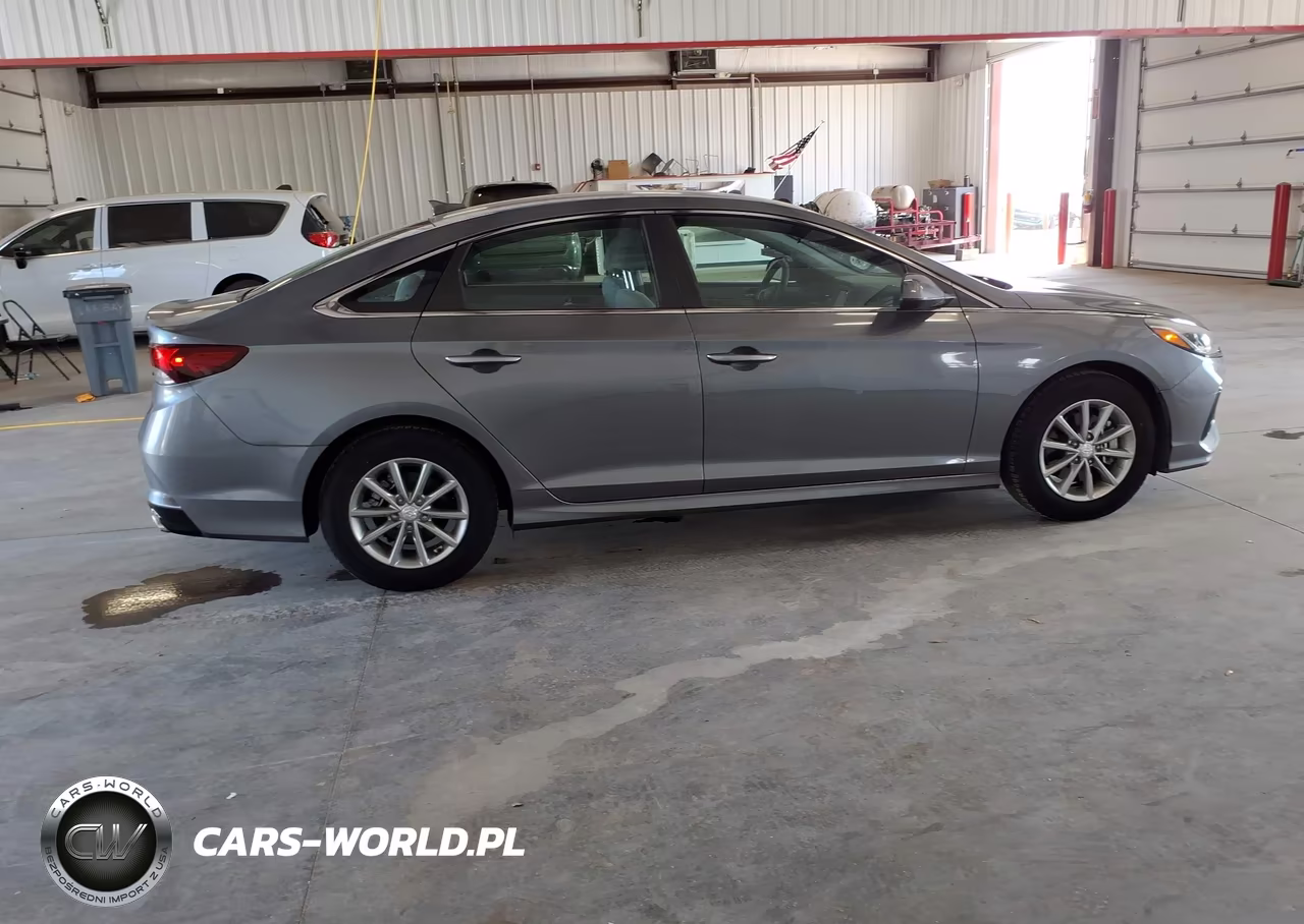 2019 Hyundai Sonata Eco VIN:5NPE24AA2KH774674 - 13