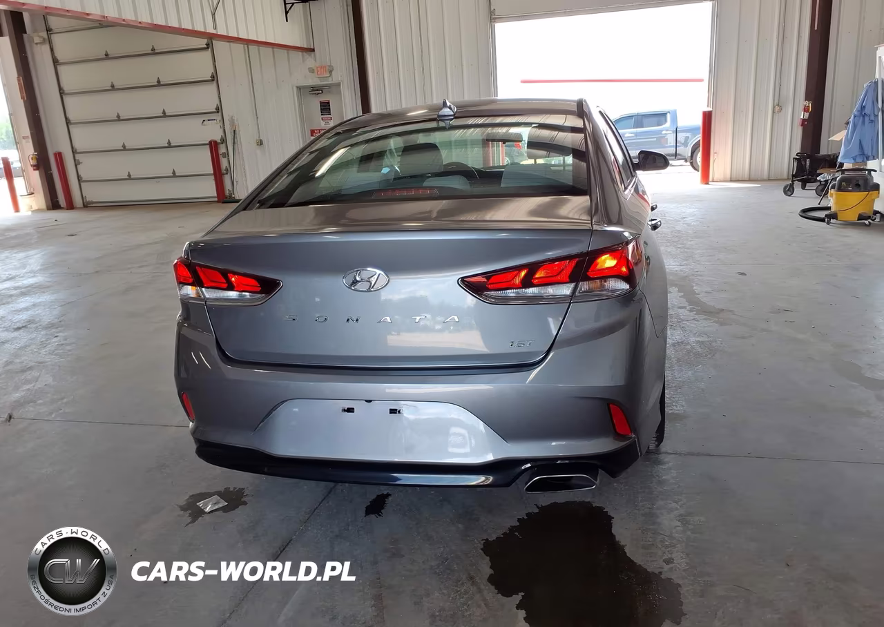 2019 Hyundai Sonata Eco VIN:5NPE24AA2KH774674 - 16