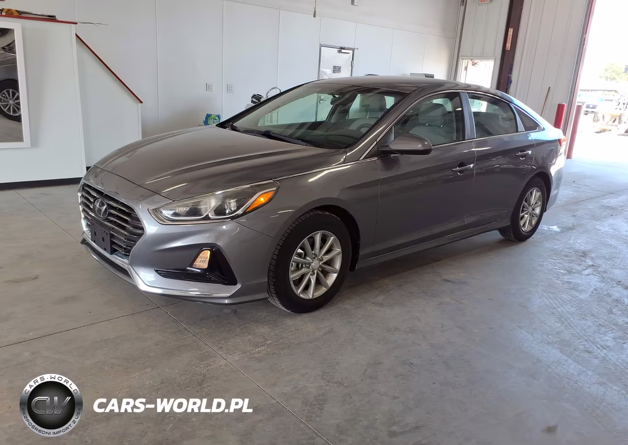 2019 Hyundai Sonata Eco VIN:5NPE24AA2KH774674 - 2
