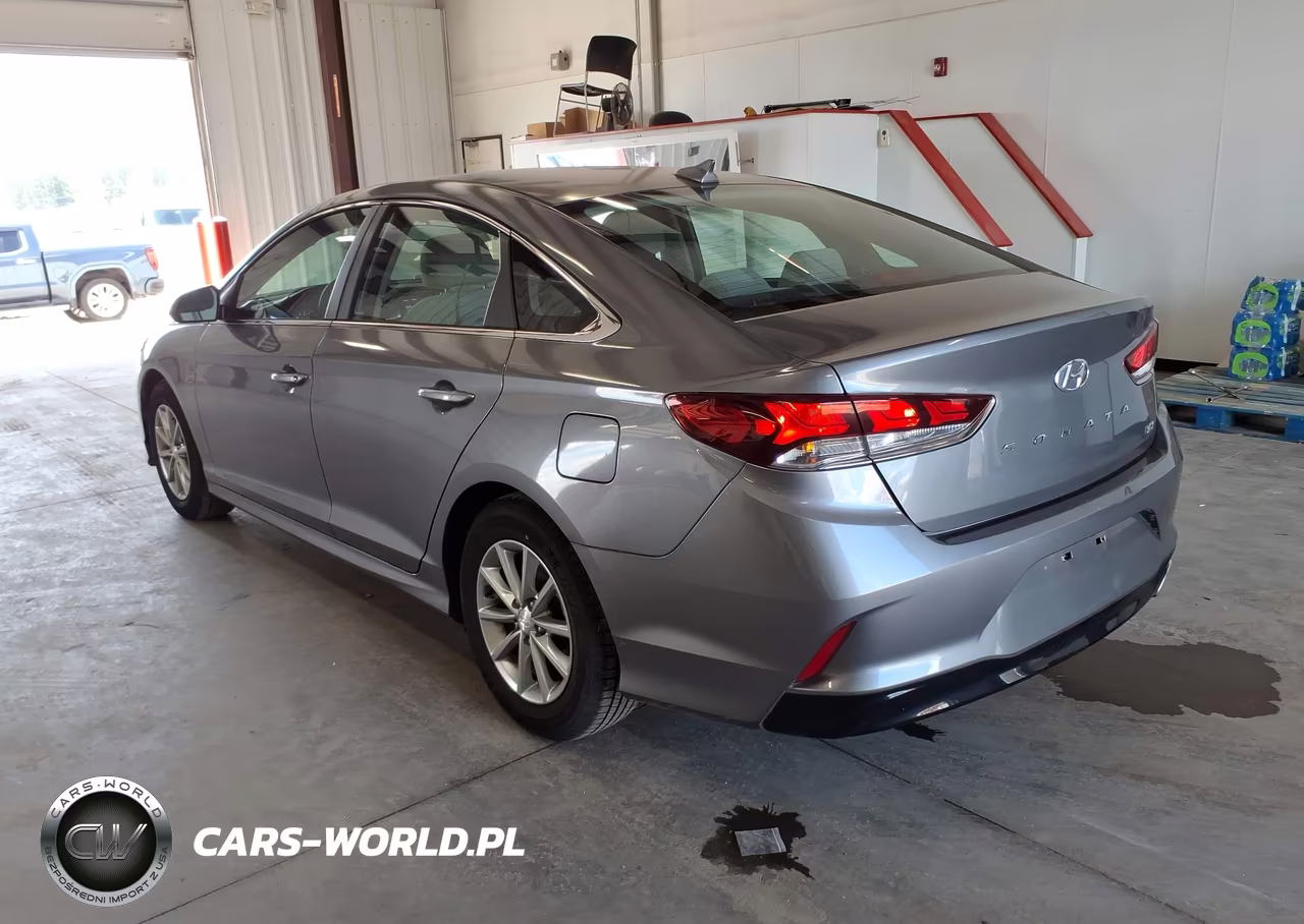 2019 Hyundai Sonata Eco VIN:5NPE24AA2KH774674 - 3