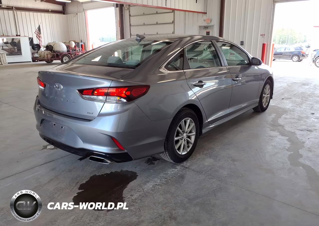 2019 Hyundai Sonata Eco VIN:5NPE24AA2KH774674 - 4