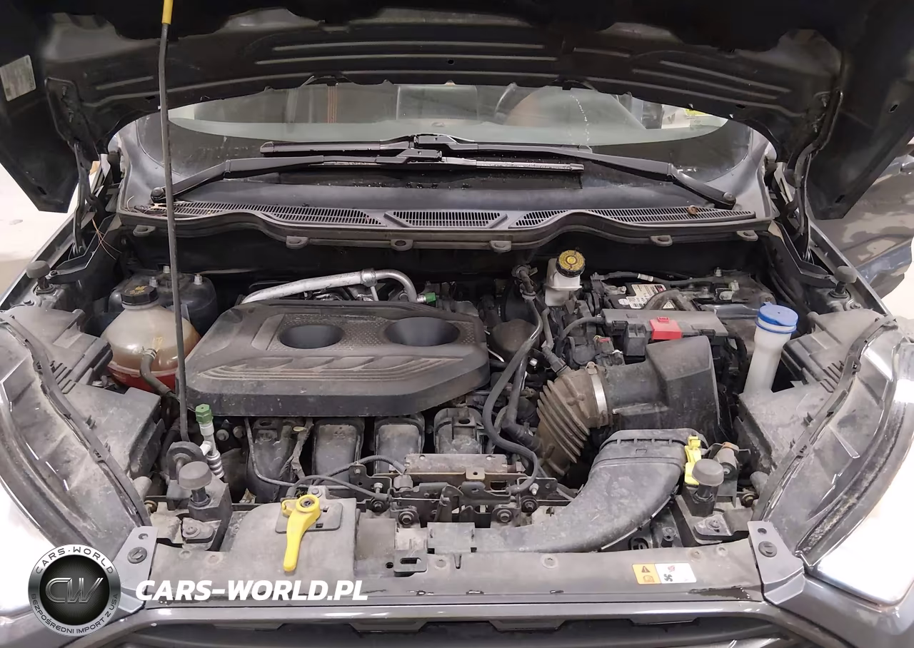 2018 Ford Ecosport Ses VIN:MAJ6P1CL7JC185669 - 10