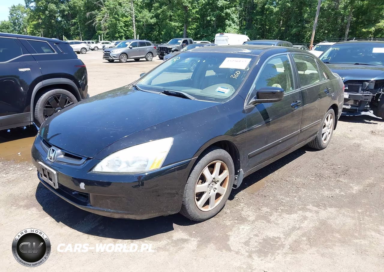 2005 Honda Accord 3.0 Ex VIN:1HGCM66505A026320 - 2