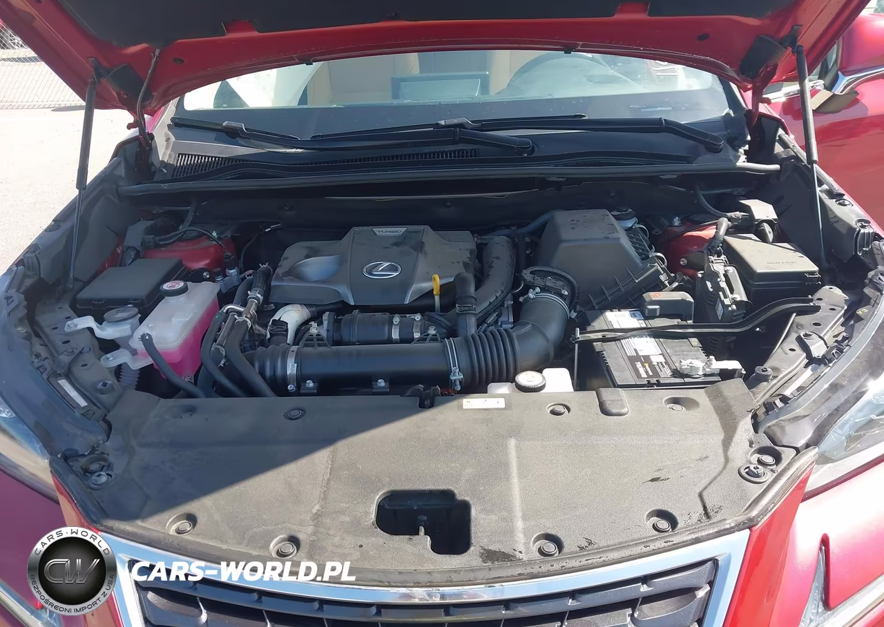 2021 Lexus Nx 300 VIN:JTJGARDZ8M5029082 - 10